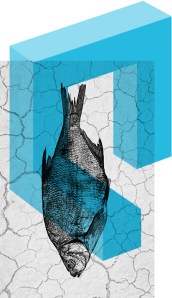 quand-la-mer periscope 2013-2014